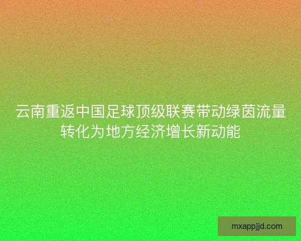 云南重返中国足球顶级联赛带动绿茵流量转化为地方经济增长新动能