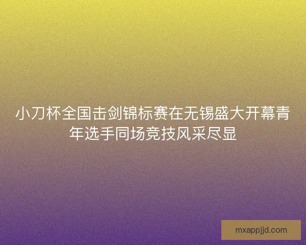 小刀杯全国击剑锦标赛在无锡盛大开幕青年选手同场竞技风采尽显