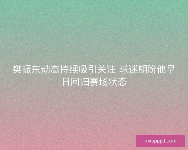 樊振东动态持续吸引关注 球迷期盼他早日回归赛场状态