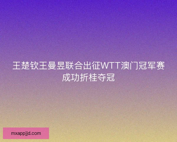 王楚钦王曼昱联合出征WTT澳门冠军赛成功折桂夺冠 王楚钦王曼昱联合出征WTT澳门冠军赛成功折桂夺冠